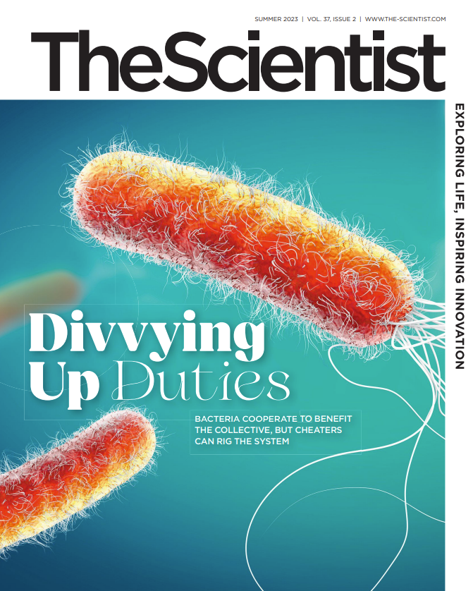 The Scientist, vol. 37.2 (Summer 2023)